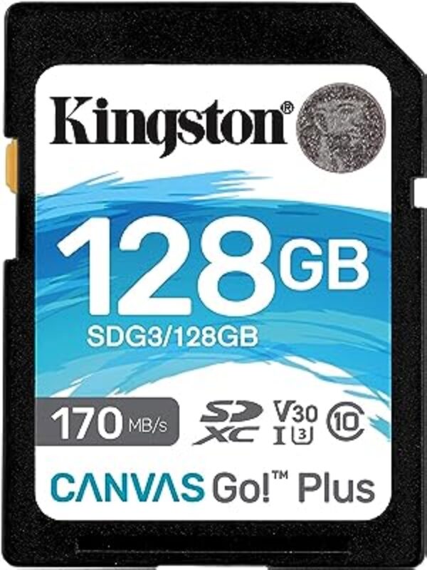 Kingston Canvas Go Plus 128GB Memory Card