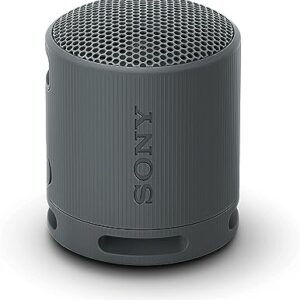 Sony SRS-XB100 Portable Bluetooth Speaker