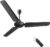 atomberg Ikano 1200mm BLDC Motor 5 Star Rated Classic Ceiling Fans with Remote Control | High Air Delivery Fan with LED Indicators | Upto 65% Energy Saving | 2+1 Year Warranty (Black)