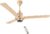 Orient Electric I Tome 1200mm 26W Intelligent BLDC Energy Saving Ceiling Fan with Remote| 3 Year On-Site Manufacturer’s Warranty | 5 Star Rated (Gold, Pack of 1)